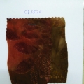 CE3520