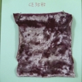 CE3585