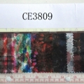 CE3809