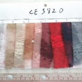 CE3820