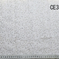 CE3879 (2)