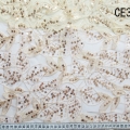 CE3881 (2)