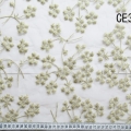 CE3887 (2)