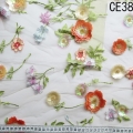 CE3893 (2)