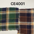 CE4001