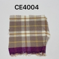 CE4004