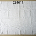 CE4011