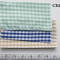 CE4023
