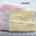 CE4024