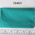 CE4031