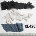 CE4202