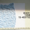 CE4251
