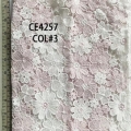 CE4257-2