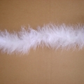 CF0001--WHITE