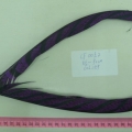 CF0052-col.159