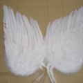 CF0053--WHITE
