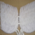 CF0054--WHITE