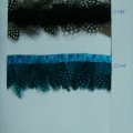 CF0144-0145