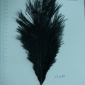 CF0170