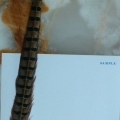 CF0171