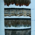 CF0174-0177