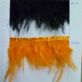 CF0188col.4