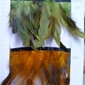 CF0189col.1-2