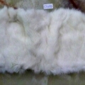 CF0193