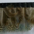 CF0198