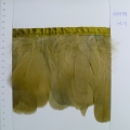 CF0199col.11