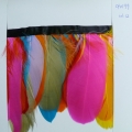 CF0199col.12