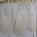 CF0199col.2
