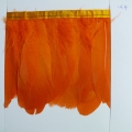 CF0199col.4