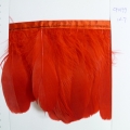 CF0199col.7