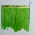 CF0199col.9