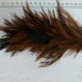 CF0213