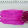CF0219