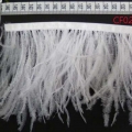 CF0223