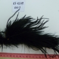 CF0239