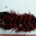CF0241