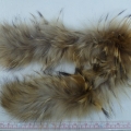 CF0245