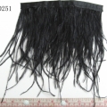 CF0251