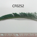 CF0252
