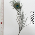 CF0265