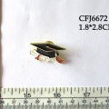 CFJ6672