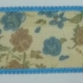 CYY0011