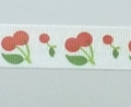 CYY0034