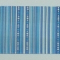 CYY0041