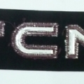 CYY0079