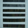 CYY0610-0611